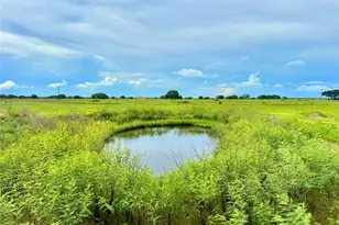 Tbd Tract 105 Pin Tail Ln, Rock Island, TX 78934 - Photo 1