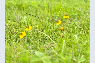 Tbd Tract 105 Pin Tail Lane, Rock Island, TX 78934 - Photo 13