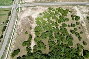 2381 Council Springs Pass, Leander, TX 78641 - Photo 17