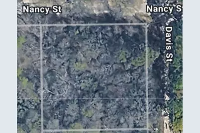 Tbd Nancy  / Davis Street, Bastrop, TX 78602 - Photo 1