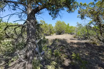 370-B Kothman Road, Dripping Springs, TX 78620 - Photo 15