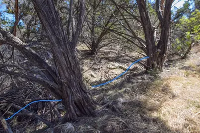 370-B Kothman Road, Dripping Springs, TX 78620 - Photo 9