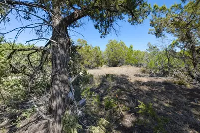 370-B Kothman Road, Dripping Springs, TX 78620 - Photo 15