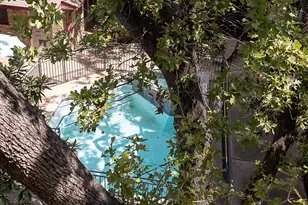 1404 Norwalk Ln, Austin, TX 78703 - Photo 17