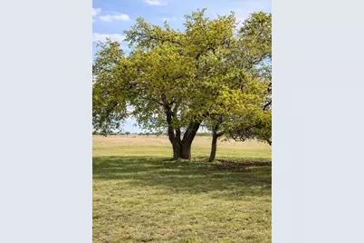 Lot 42 Reeh Road, Fredericksburg, TX 78631 - Photo 5