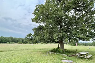 136 Fm 2239 Rd, Paige, TX 78659 - Photo 3