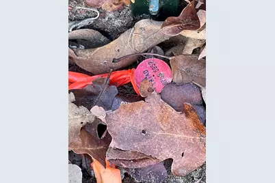 1330 Cypress Trail Loop, Rockdale, TX 76567 - Photo 3