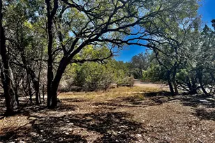 21300 Highland Lake Dr, Lago Vista, TX 78645 - Photo 1