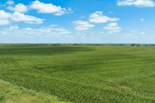 Tbd Manda Carlson Rd, Coupland, TX 78615 - Photo 5