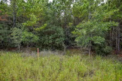 Tbd Kipahulu Drive #2, Bastrop, TX 78602 - Photo 3