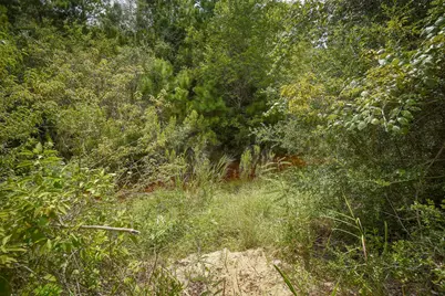 Tbd Kipahulu Drive #2, Bastrop, TX 78602 - Photo 23