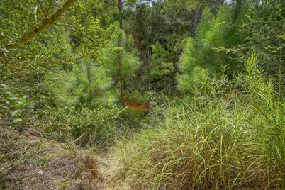 Tbd Kipahulu Drive #2, Bastrop, TX 78602 - Photo 25