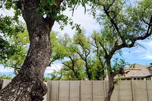 1816 Spg Mountain Cv, Georgetown, TX 78628 - Photo 21