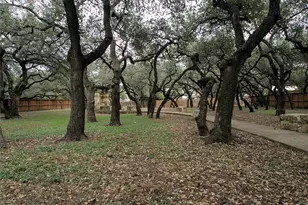 1333 Clary Sage Loop, Round Rock, TX 78665 - Photo 31