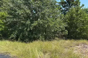 464 Hawea Ct, Bastrop, TX 78602 - Photo 1