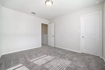 106 Osier Pass, Hutto, TX 78634 - Photo 29