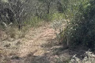 4668 Fm 535, Cedar Creek, TX 78612 - Photo 23