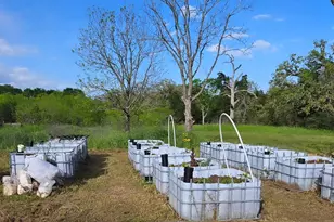 4668 Fm 535, Cedar Creek, TX 78612 - Photo 17