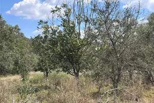 4668 Fm 535, Cedar Creek, TX 78612 - Photo 21