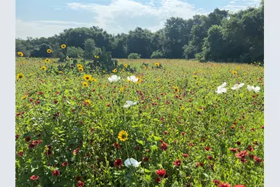 4668 Fm 535, Cedar Creek, TX 78612 - Photo 35