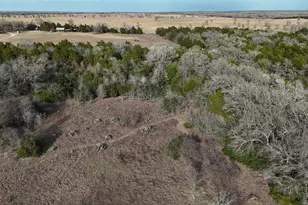 4668 Fm 535, Cedar Creek, TX 78612 - Photo 35