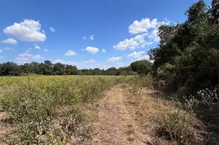 4668 Fm 535, Cedar Creek, TX 78612 - Photo 25