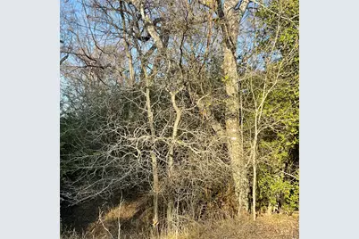 4668 Fm 535, Cedar Creek, TX 78612 - Photo 27