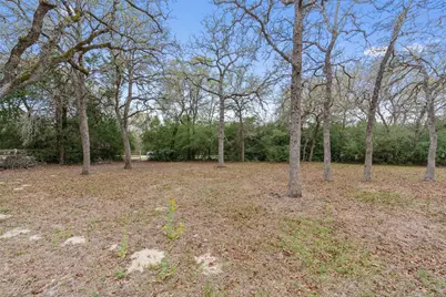 124 Kingwood Drive, Elgin, TX 78621 - Photo 3