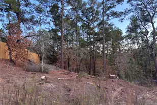 126 & 127 Grand Canyon Dr, Bastrop, TX 78602 - Photo 1