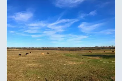 10521 Bitting School Road, Manor, TX 78653 - Photo 5