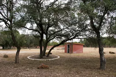 18001 Fm 150 W, Driftwood, TX 78619 - Photo 21