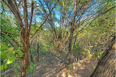 2412 Crazyhorse Pass, Austin, TX 78734 - Photo 11