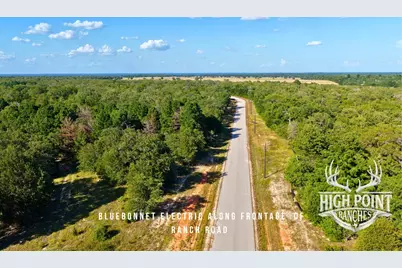 Tbd Ranch Road Off Cr 405 (+/- 175 Acres), Lexington, TX 78947 - Photo 7