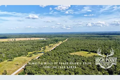 Tbd Ranch Road Off Cr 405 (+/- 175 Acres), Lexington, TX 78947 - Photo 5