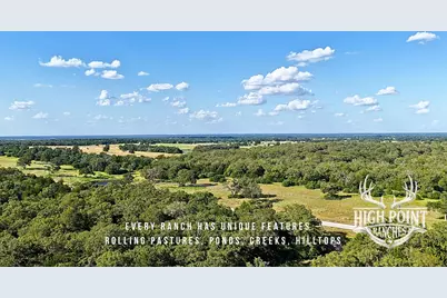 Tbd Ranch Road Off Cr 405 (+/- 175 Acres), Lexington, TX 78947 - Photo 3