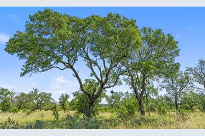 620 Rio Vista Road, Johnson City, TX 78636 - Photo 29