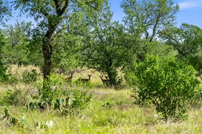 620 Rio Vista Road, Johnson City, TX 78636 - Photo 3