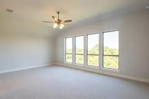 255 Star Rush Trl, Georgetown, TX 78633 - Photo 9