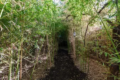 2703 E 3rd Street #2, Austin, TX 78702 - Photo 27