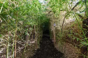 2703 E 3rd St, Austin, TX 78702 - Photo 27