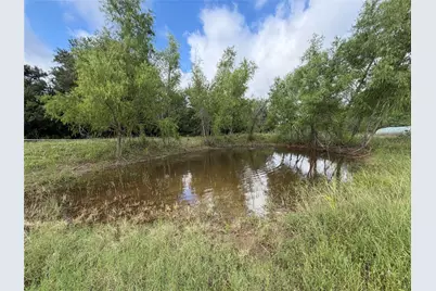 437 Balch Road, Elgin, TX 78621 - Photo 35