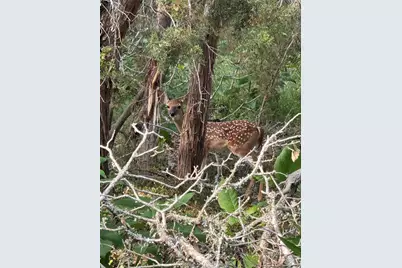 124 Calhoon Court, Canyon Lake, TX 78133 - Photo 9