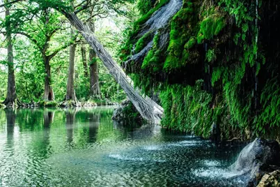 91 Cove Creek Drive, Spicewood, TX 78669 - Photo 21