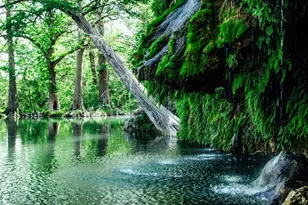 91 Cove Creek Dr, Spicewood, TX 78669 - Photo 21