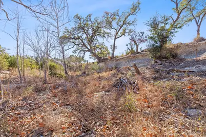 100 Dario Drive, Dripping Springs, TX 78620 - Photo 25