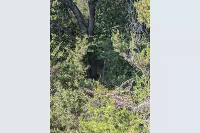 201 Springlake Drive, Dripping Springs, TX 78620 - Photo 13