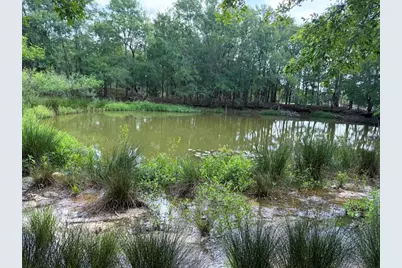 141 Grassyville Road, Paige, TX 78659 - Photo 29