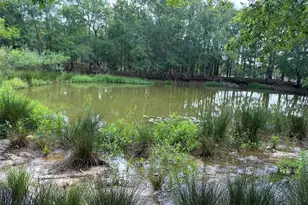 141 Grassyville Rd, Paige, TX 78659 - Photo 29