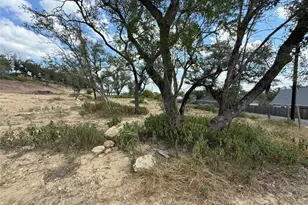 3830 Co Rd 410, Spicewood, TX 78669 - Photo 7