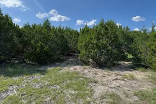 Lot 23 Rifle Ridge, Burnet, TX 78611 - Photo 9